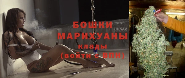 дурь Новодвинск