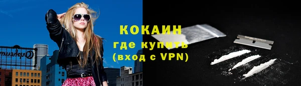 дурь Новодвинск