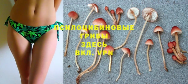 кокаин премиум Козельск
