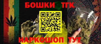 индика Беслан