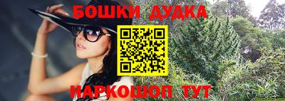 индика Беслан