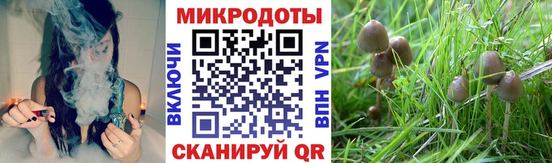 Псилоцибиновые грибы MAGIC MUSHROOMS Кондопога