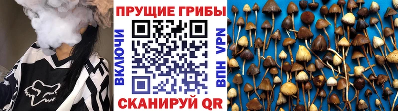 Галлюциногенные грибы прущие грибы Кондопога