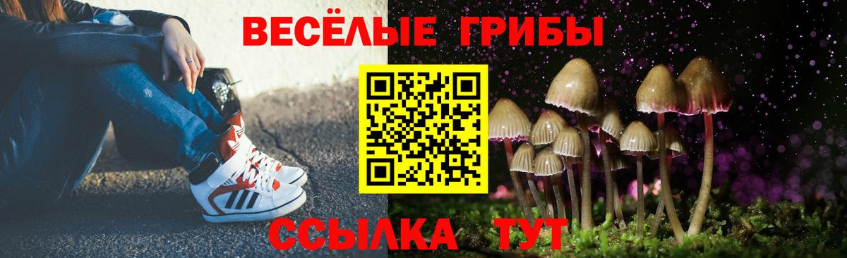 Псилоцибиновые грибы мицелий Кондопога